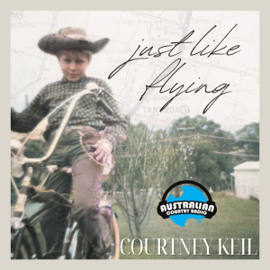 Just Like Flying coverart